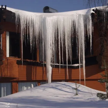 Davvi Arctic